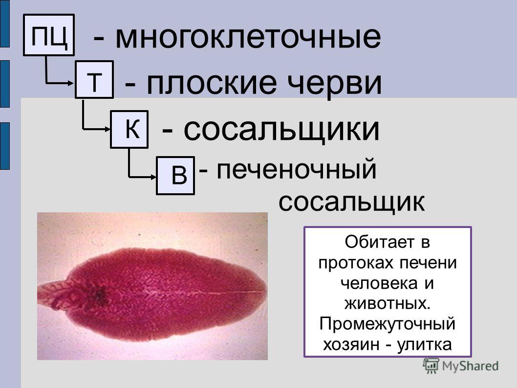 Почему не могу зайти на кракен