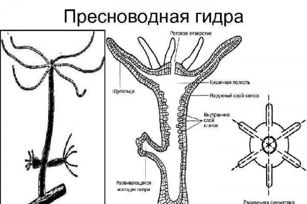 Только через тор кракен