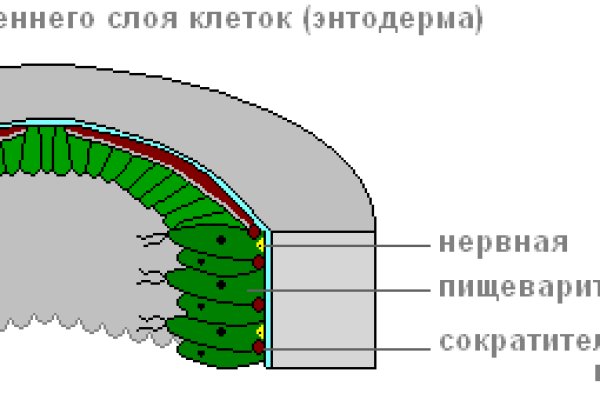 Рабочий кракен