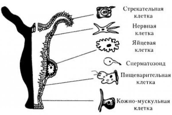 Кракен меф