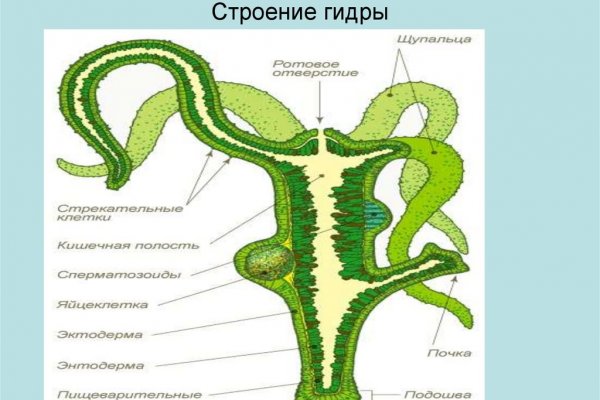 Кракен правильная